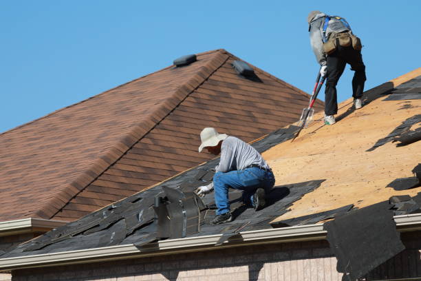 Best Siding  in Pulaski, TN