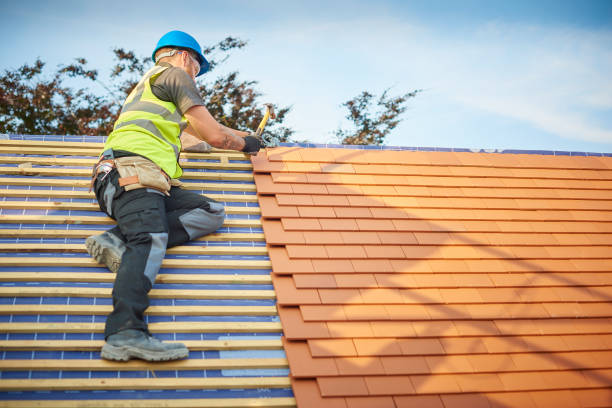 Best Roof Insulation Installation  in Pulaski, TN